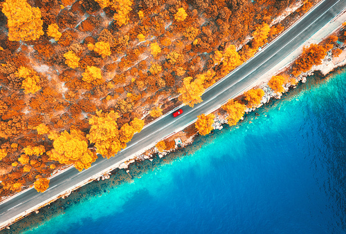 Aerial view of road in beautiful orange forest and blue sea at sunset in autumn. Colorful landscape with roadway, blurred cars, clear water, trees in fall. Top view of road along the sea coast. Travel