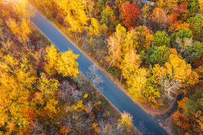 Aerial view of road in beautiful autumn forest at sunset. Colorful landscape with empty road , trees with multicolored leaves in fall. Roadway in park in Europe. Top view from drone. Autumn colors