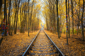 Beautiful railroad in autumn forest at sunset. Industrial landscape with railway station, trees with colorful orange and yellow leaves in fall. Old railroad in Tunnel of Love in Ukraine