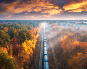 Aerial view of freight train in beautiful forest in fog at sunset in autumn. Landscape with railroad, foggy trees, trail and colorful sky with clouds. Top view of moving train in fall. Railway station