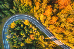 Aerial view of mountain road in beautiful forest at sunset in autumn. Top view from drone of winding road in woods. Colorful landscape with curved roadway, pine trees, orange leaves in fall. Travel