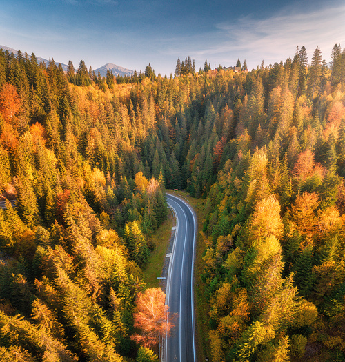Aerial view of mountain road in beautiful forest at sunset in autumn. Top view from drone of winding road in woods. Colorful landscape with empty roadway, trees with orange leaves, blue sky in fall