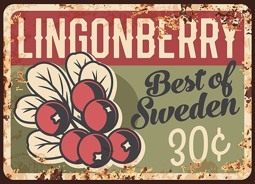 Lingonberry rusty metal plate, vector vintage rust tin sign with ripe garden or wild berry with leaves. Fresh and sweet sweden lingonberry promotion card or price tag for market store, retro poster