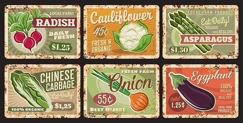 vegetables rusty metal plates, vector price tags. farm veggies organic radish, cauliflower, asparagus and chinese cabbage with onion and eggplant retail cards for  market, vintage rust tin signs