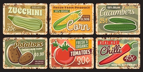 Farm vegetables harvest rusty metal plate. Zucchini, corn and cucumbers, potatoes, tomatoes and chili pepper tin signs. Local organic farm healthy, fresh and natural vegetables vector grungy plates