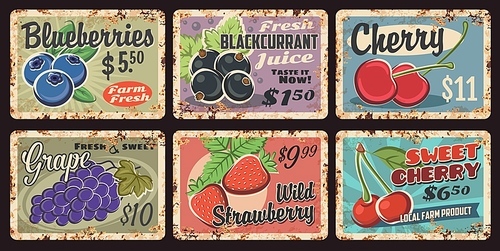 farm fresh berry rusty metal plates. blueberries, currant and sweet cherry, grapes, wild strawberry grunge vector tin signs. organic farm orchard harvest plates with sweet berries, rust texture