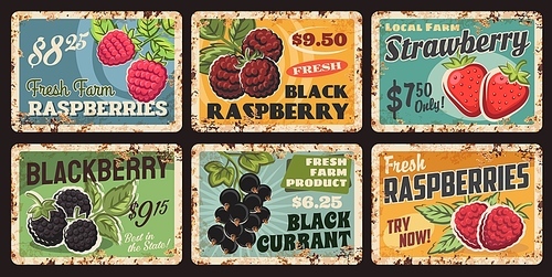 Berries, fruit market food metal rusty plates and price cards, vector retro posters. Farm garden black raspberry, strawberry, blackberry and blackcurrant berries harvest, metal plates with rust