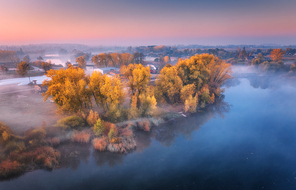 Aerial view of foggy trees on the river coast at sunrise in autumn. Colorful landscape with forest in low clouds, lake, meadow in fog, pink sky, village in the morning in fall. Top view. Nature