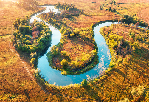 Aerial view of beautiful curving river at sunrise in autumn. View from air. Turns of river, meadows, orange grass, trees at dawn. Colorful aerial landscape of river coast at sunset in fall. Top view