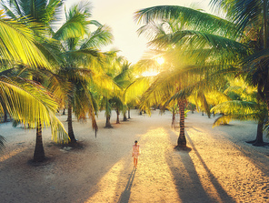Beautiful young woman is walking in palm alley at sunset. Summer travel. Tropical landscape with slim girl in white lace dress on the sandy beach, green palm trees, yellow sunlight. Vacation in Africa