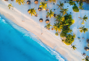 aerial view of umbrellas, palms on the sandy beach of indian ocean at . summer in zanzibar, africa. tropical landscape with palm trees, parasols, walking people, blue water, waves. top view