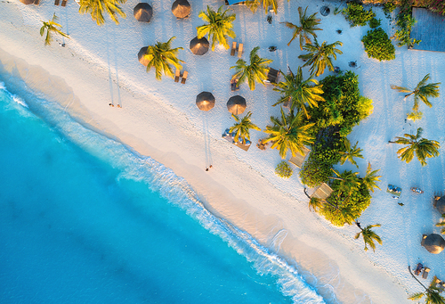 aerial view of umbrellas, palms on the sandy beach of indian ocean at . summer in zanzibar, africa. tropical landscape with palm trees, parasols, walking people, blue water, waves. top view