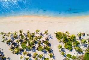 Aerial view of umbrellas, palms on the sandy beach of Indian Ocean at bright sunny day. Summer holiday in Africa. Tropical seascape with green palm trees, parasols, boats, yachts, blue water. Top view