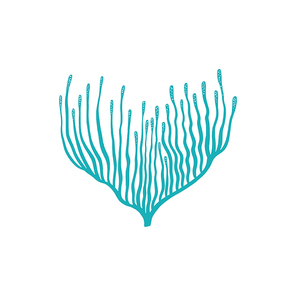 Soft aquarium coral with long tips isolatedmarine flora object. Vector underwater seaweed, aquatic exotic anemone plant. Seabed decoration, coral reef element, marine bottom soft coral emblem