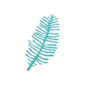 Sea galaxy coral isolated soft seaweed polyps icon. Vector underwater polyp growing in deep sea waters, undersea environment object. Gorgonian galaxy coral aquarium seaweed, soft sea fan aquatic plant