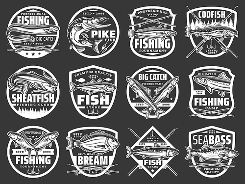 Fishing vector icons with sea eel, pike and hake, horse mackerel, gilt head bream, anchovy and tuna fish. Fisherman tournament. Ocean fishing, rods or spinning with hooks and floaters vintage labels
