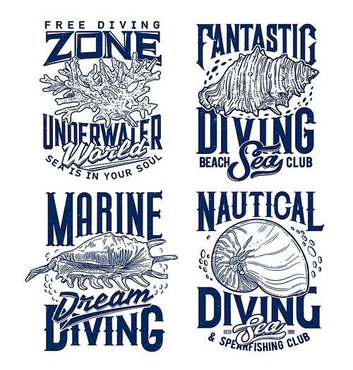 Mollusks and sea snails seashells, corals colony t-shirt  template. Marine diving and spearfishing club clothing custom  with spider and queen conch, Nautilus shell and vintage typography