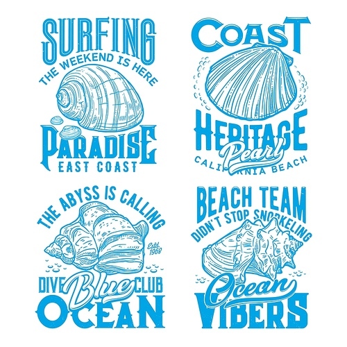 Ocean coast seashells retro t-shirt s. Surfing, scuba diving and snorkeling club, summer vacation clothing, sketch vector  with calico scallop mollusc, South African turban and conch shell