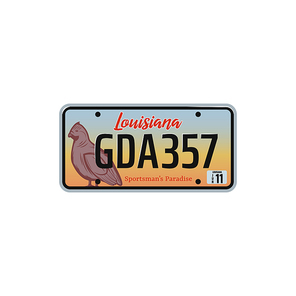 Car number or vehicle license plats vector design. Metal or plastic registration plate for identification of auto, trucks and motorcycles in USA state