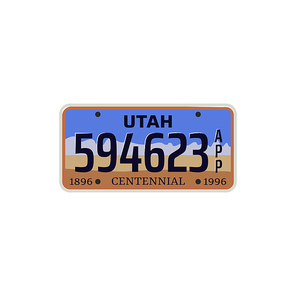 Car number or vehicle license plats vector design. Metal or plastic registration plate for identification of auto, trucks and motorcycles in USA state