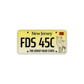 Car number or vehicle license plats vector design. Metal or plastic registration plate for identification of auto, trucks and motorcycles in USA state