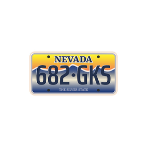 Car number or vehicle license plats vector design. Metal or plastic registration plate for identification of auto, trucks and motorcycles in USA state