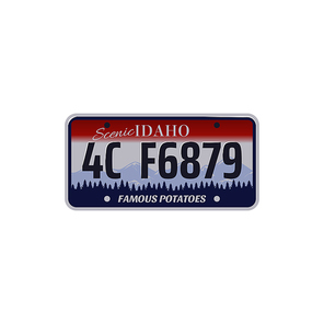 Car number or vehicle license plats vector design. Metal or plastic registration plate for identification of auto, trucks and motorcycles in USA state