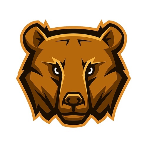 Mascot stylized bear head. Illustration or icon of wild animal.