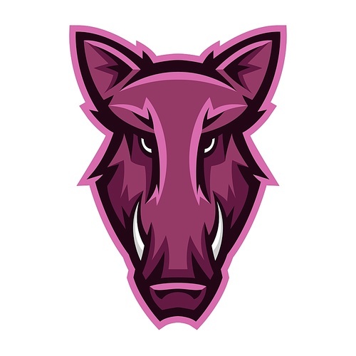 Mascot stylized boar head. Illustration or icon of wild animal.