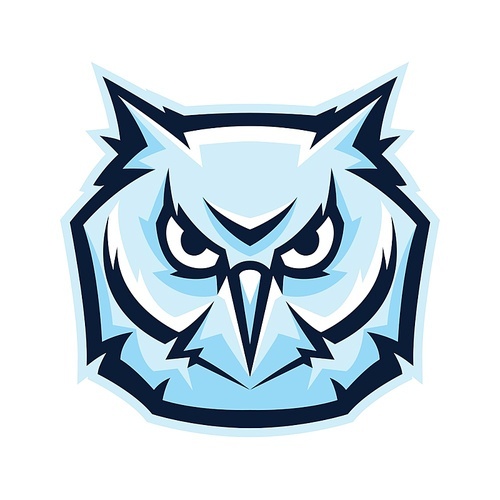 Mascot stylized owl head. Illustration or icon of wild bird.