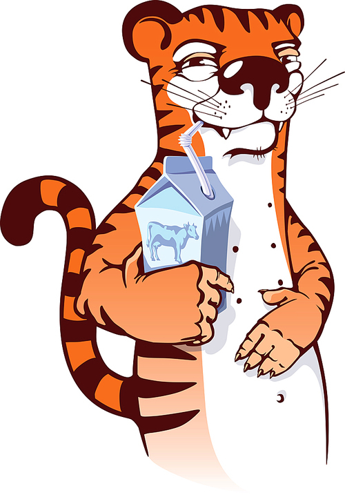 The sly cartoon tiger is drinking milk. Editable vector EPS v9.0.