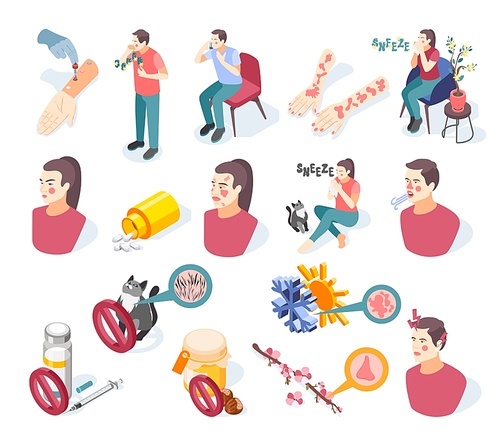 Allergy symptoms icons set with risk factors symbols isometric isolated vector illustration