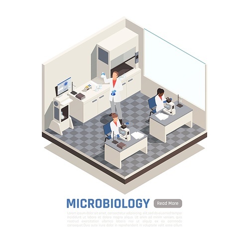 Isometric composition with scientists working in microbiology laboratory 3d vector illustration