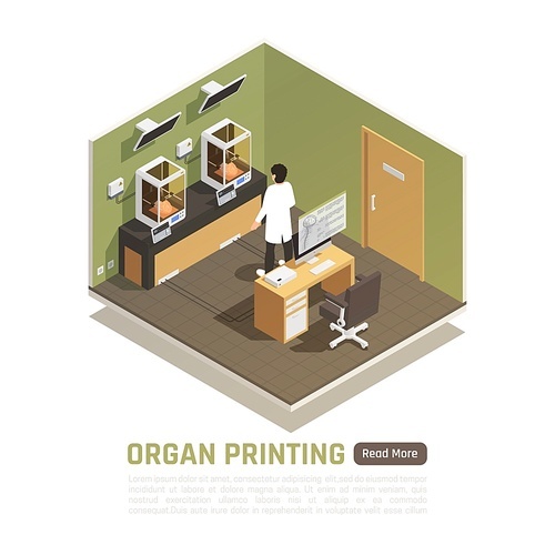 Man monitoring two 3d printers printing human brain models isometric composition vector illustration