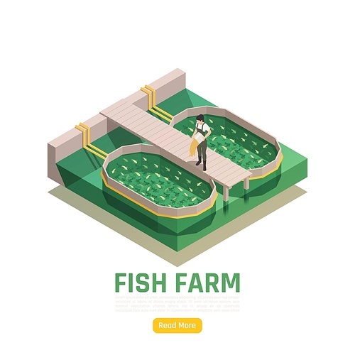 Natural resources aquaculture isometric web page element with fish farm production worker feeding fingerlings vector illustration