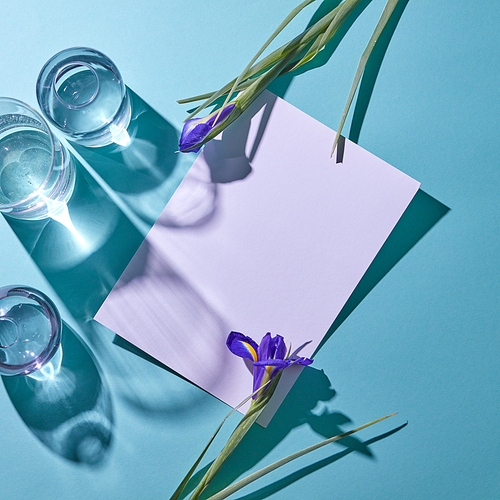 Creative composition from a set of different glass vases and violet flowers decorating a cardboard on a blue background with shadows and copy space, top view. Postcards for Mother's Day