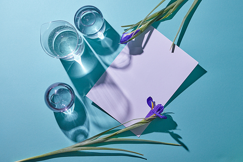 Beautiful frame with fresh violet flowers and shadows from glass transparent vases on a blue background with copy space. Women's Day. Flat lay.