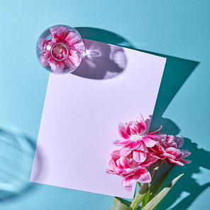 The frame is decorated with pink tulips, a glass vase with a flower, shadows are reflected on a blue background with a copy space. Flat lay.