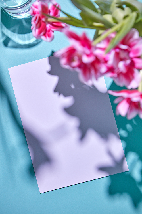 Blossoming composition with pink tulips in a glass vase and white cardboard with copy space for text , pattern of shadows on a blue background. Wedding greeting card. Flat lay.