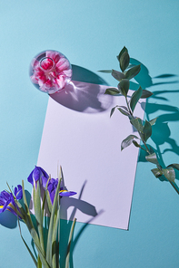 Glass vase with pink flower, a bouquet of lilac irises and a white sheet of paper as a greeting card on a blue background with shadows, a top view