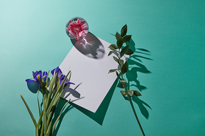 White frame decorated with a bouquet of purple flowers, a green branch and a transparent round vase with a pink flower with a reflection of shadows on a green paper background. Flat lay