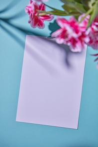 White copy space decorated with delicate pink flowers with reflection of shadows on a blue paper background. Postcards of the mother's day