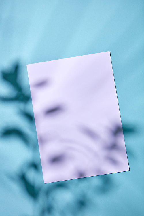 A pattern of shadows from a branch on a white cardboard on a blue paper background. greeting card Greeting card. Flat lay