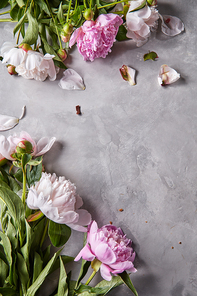 Corner frame of pink and white peonies on a gray concrete background with space for text. Natural layout for postcardFlat lay