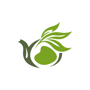 Hot Ceylon or Chinese green tea in cup isolated logo. Vector herbal drink with organic leaves