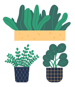 Set of green indoor houseplants and flowers in pots icons on white. Plants growing in pots or planters. Collection of beautiful natural home and office decorations. Trendy vector in flat cartoon style