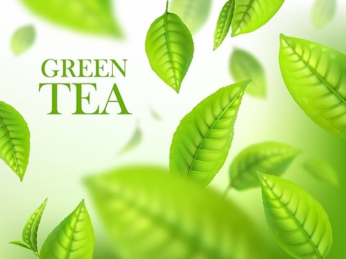 Green tea leaves, organic herbal background, vector template for beverage advertising. Falling 3d green leaves with blurr defocused effect. Realistic poster design with macro plant leaves in motion