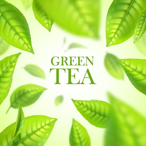 Green tea leaves. Organic herbal background with realistic vector falling in air, floating in water fresh green tea leaves on warm sunny light backdrop. Healthy food, hot drink or beverage background
