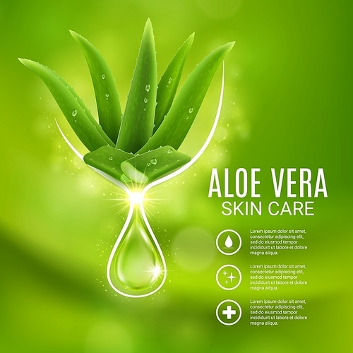 Aloe vera extract, skin care vector poster, cosmetics production ad with aloe plant and glowing drop. Moisturizing cosmetic beauty product gel or body lotion advertising design for catalog or magazine