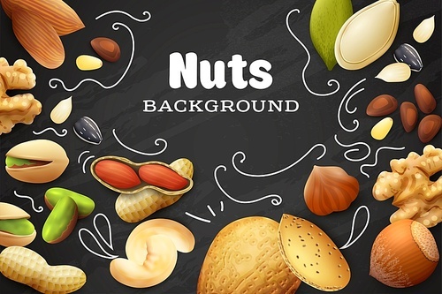 Various kinds of nuts on chalkboard background realistic vector illustration